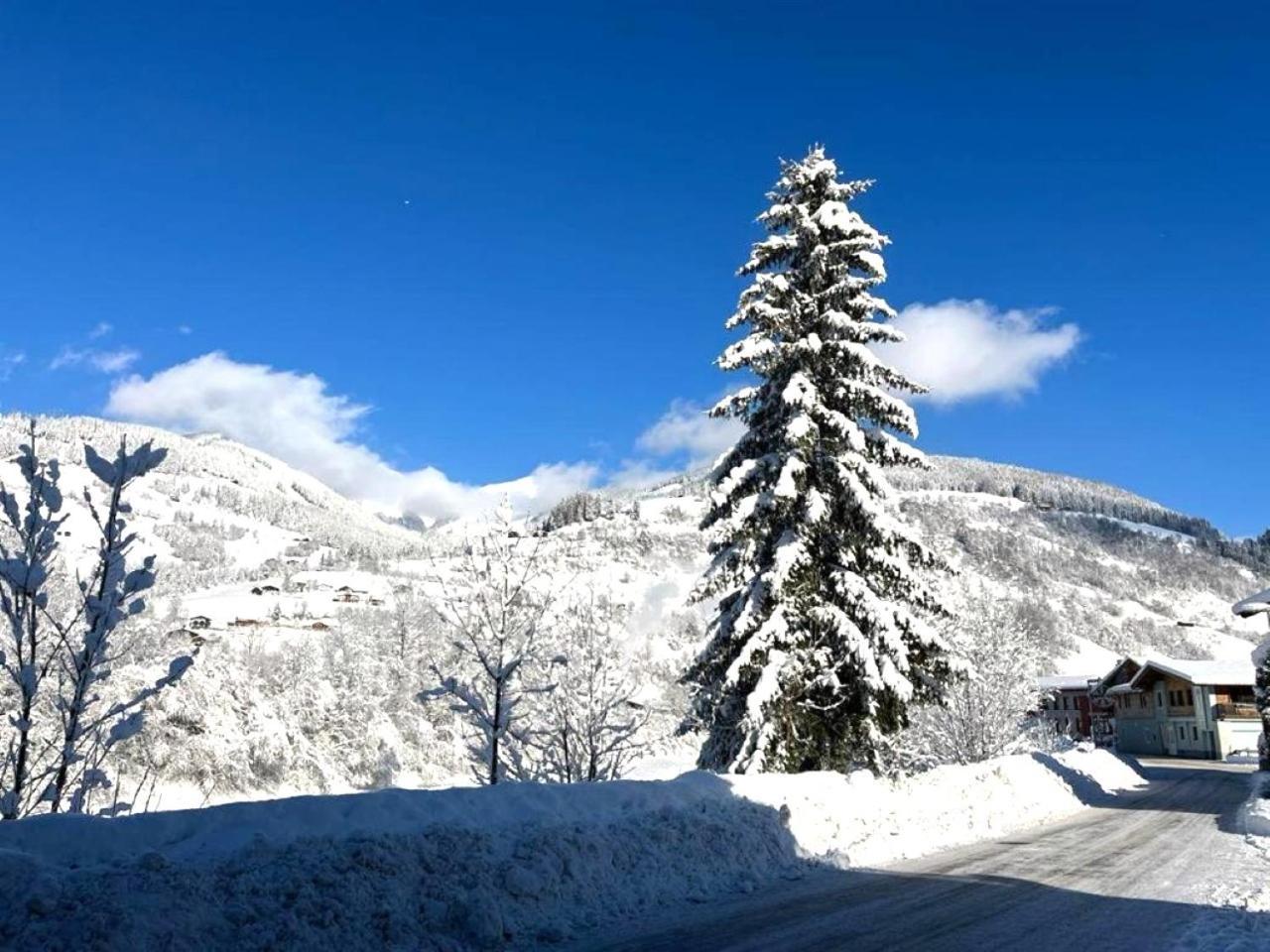 Penthouse Julia Naehe Badesee Mit Infrarotsauna -Zell Am See Kaprun Нидернзил Екстериор снимка